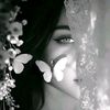 nour.han1663