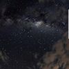 aseel_202_