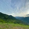 vanthanh230804