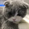phuonganhcuteee33
