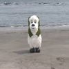 rayfish92