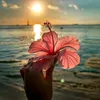 .sunshine.lixa