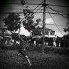_gall47