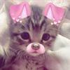 yucc_625
