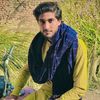 ali.hamza4766