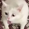 georgedavidd29