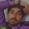 zooamir