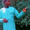 umar.danladi64
