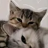 ren_ruyie