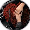 ansa_ali7755