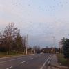 mih_aela_9329