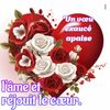 felidjahonorine
