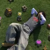 jsanormalguy4y