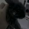 yaldammnight1