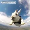 kitler_dark