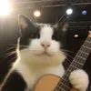 sam_spieringstv
