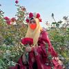 arju.arju2