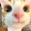 namira_slime