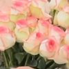 my.honeey7