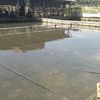 fishing.cs.garut