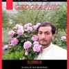 ghulam.nabi4721