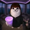 berezka_tiktok