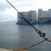wachyudiarto383