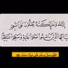 mlm.316