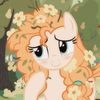 mlp_citrus