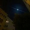 shams.alaa41