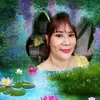user57182606010863