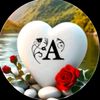 nil.akaser.tara6927