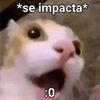 liam.arango3
