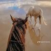 shahd.ahmed2156