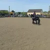 flopflop505