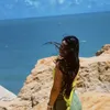 amabilycordeiro