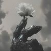 kings_aura