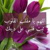 user2227186058865