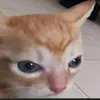 mikewazauskey2