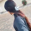 larareolli_