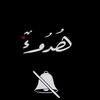 saif2x2