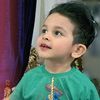 miladmir.dr