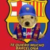 emiliano.rivera289