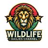 WildlifeDailiesChannel