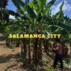 salamancacityrd