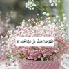 maalla725