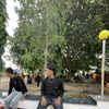 bikash.mgr01