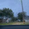 hydrobugs