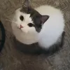 lya_8899