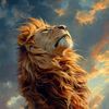 saqib.khan.8040